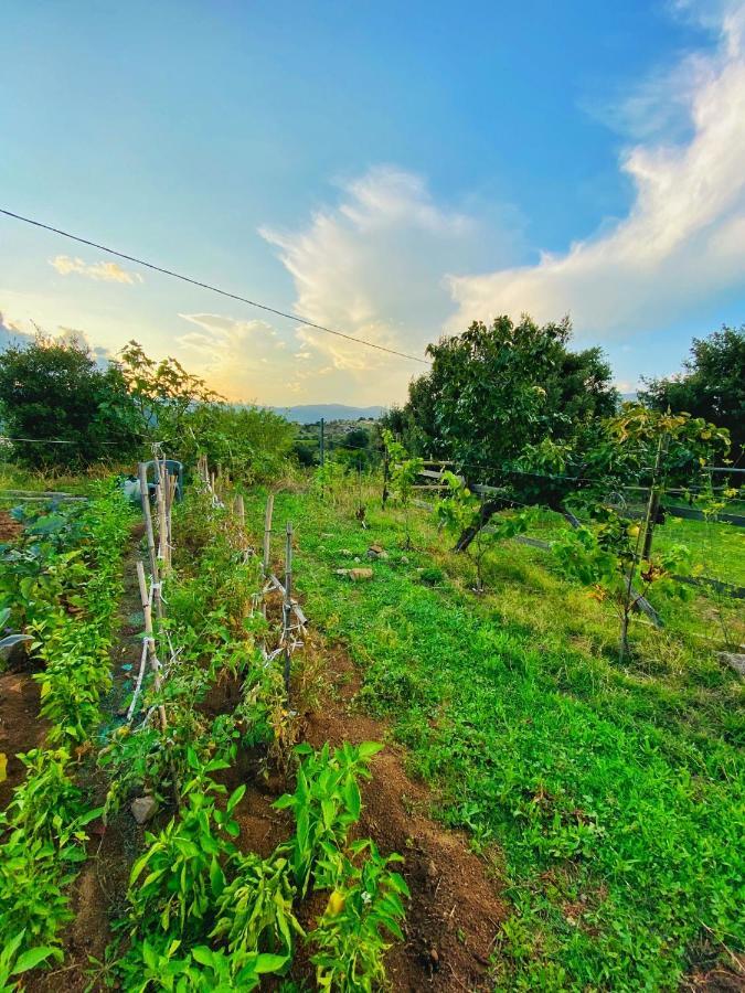 Locanda Tipica Sa Corte Ольєна Екстер'єр фото