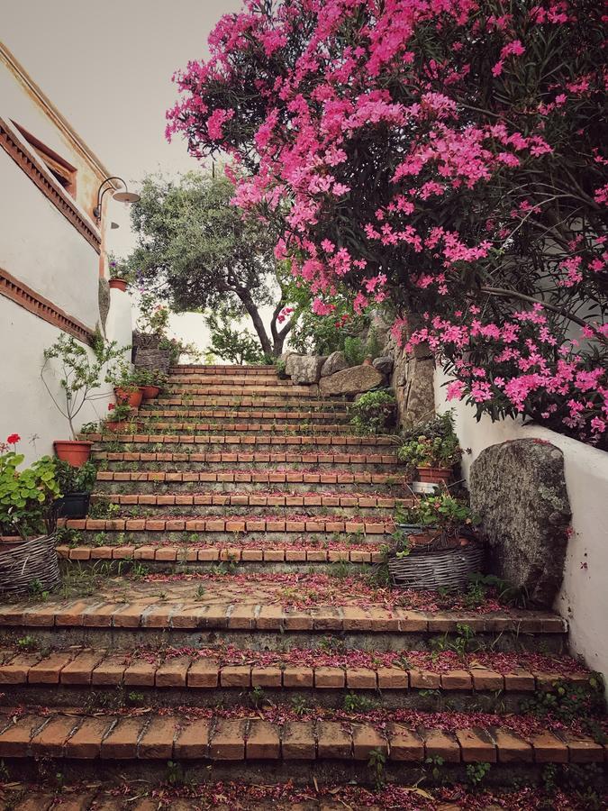 Locanda Tipica Sa Corte Ольєна Екстер'єр фото